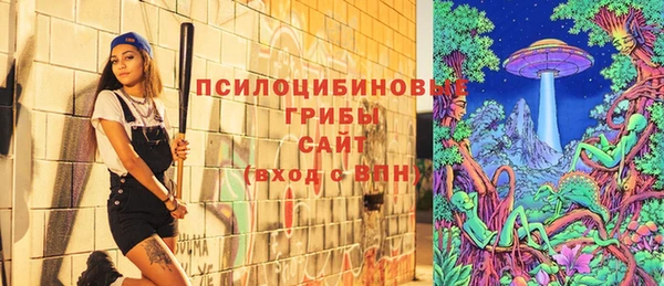 твердый Переславль-Залесский