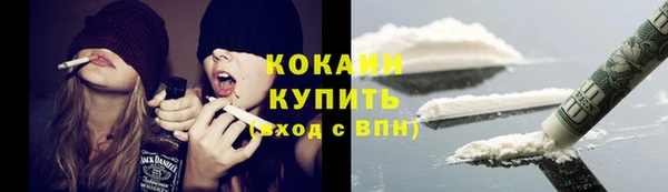 прущая мука Пересвет