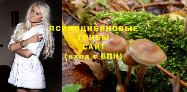 прущая мука Пересвет