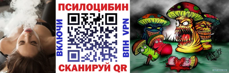 Псилоцибиновые грибы GOLDEN TEACHER  Пугачёв 